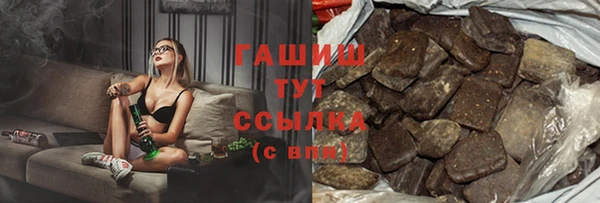 дмт Бородино