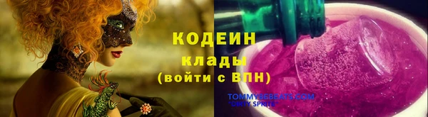дмт Бородино