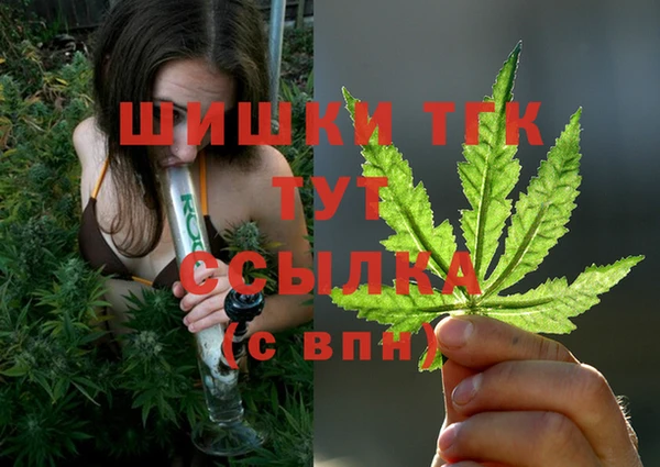 мдпв Богородск