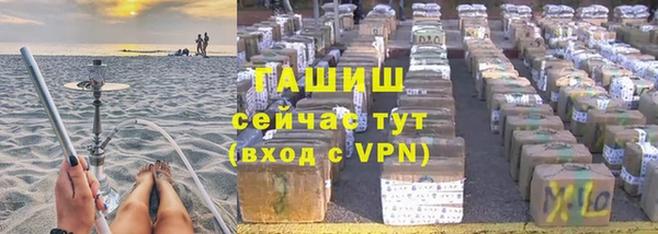 дмт Бородино