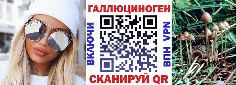 Псилоцибиновые грибы мухоморы  что такое наркотик  Дивногорск 
